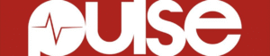 Pulse.ng logo
