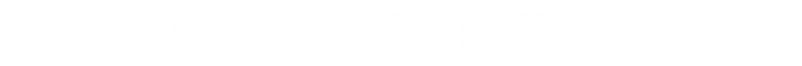 American CEO logo